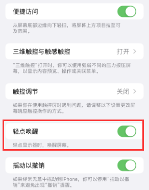 桐城苹果授权维修站分享iPhone轻点无法唤醒怎么办