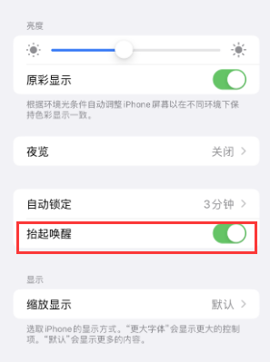 桐城苹果授权维修站分享iPhone轻点无法唤醒怎么办