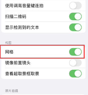 桐城苹果手机维修网点分享iPhone如何开启九宫格构图功能 