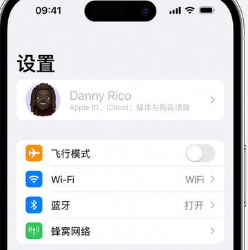 桐城appleID维修服务iPhone设置中Apple ID显示为灰色无法使用