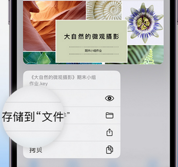 桐城apple维修中心分享iPhone文件应用中存储和找到下载文件