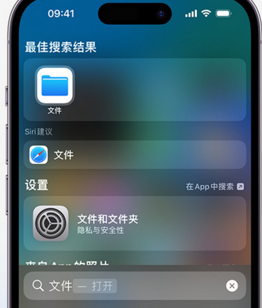 桐城apple维修中心分享iPhone文件应用中存储和找到下载文件