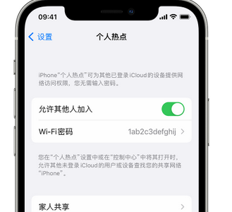 桐城apple服务站点分享iPhone上个人热点丢失了怎么办