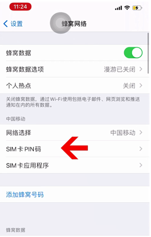 桐城苹果14维修网分享如何给iPhone14的SIM卡设置密码 