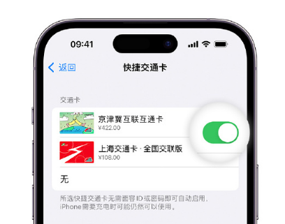 桐城apple维修点分享iPhone上更换Apple Pay快捷交通卡手绘卡面 