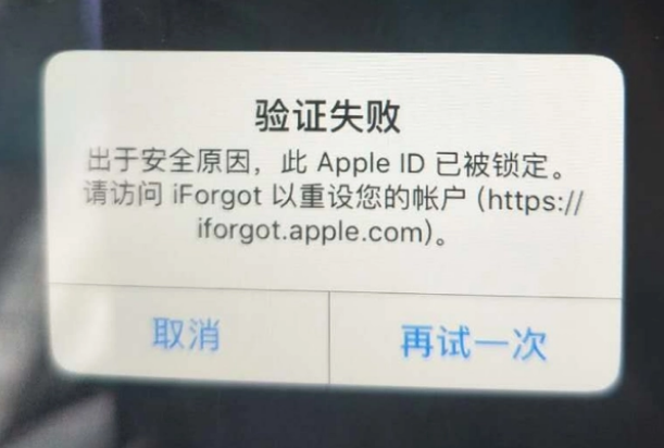 桐城iPhone维修分享iPhone上正常登录或使用AppleID怎么办 