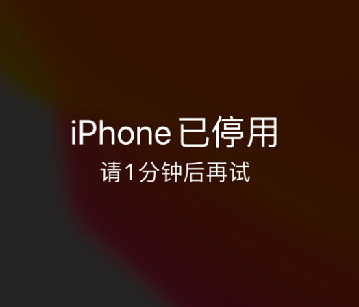 桐城苹果手机维修分享:iPhone 显示“不可用”或“已停用”怎么办？还能保留数据吗？ 