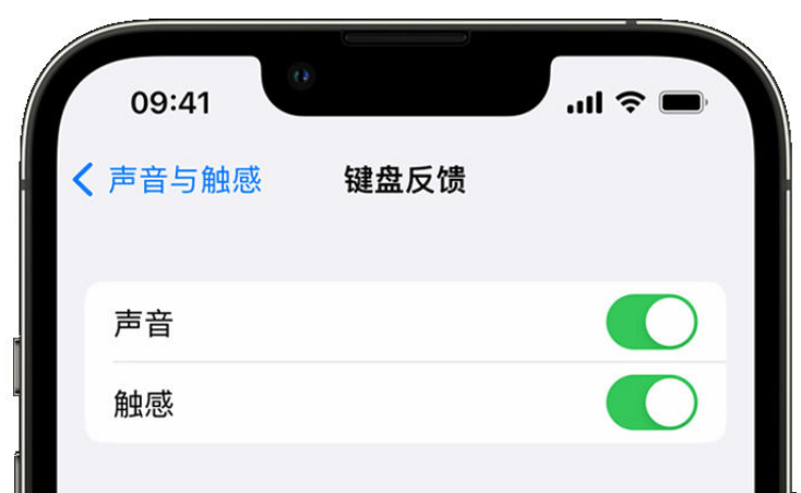 桐城苹果手机维修分享iPhone 14触感键盘使用方法 