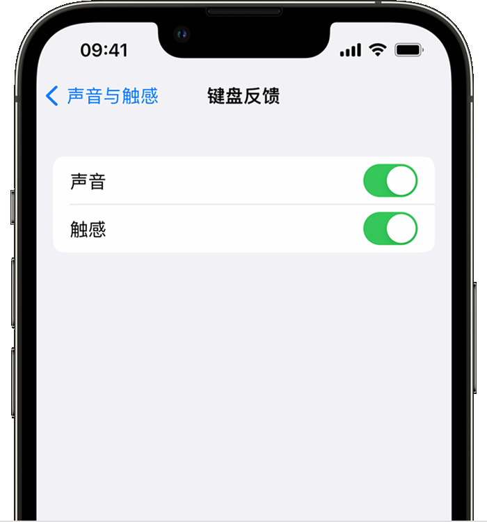 桐城苹果14维修店分享如何在 iPhone 14 机型中使用触感键盘 