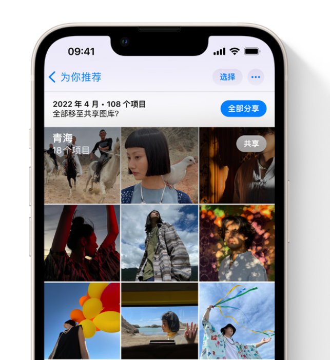 桐城苹果维修网点分享在 iPhone 上使用共享图库 