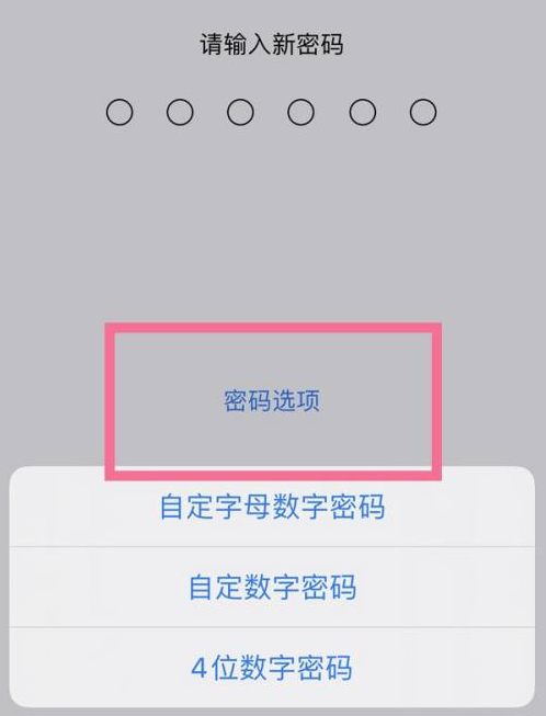 桐城苹果14维修分享iPhone 14plus设置密码的方法 