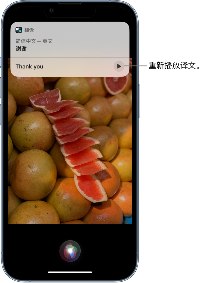 桐城苹果14维修分享 iPhone 14 机型中使用 Siri：了解 Siri 能帮你做什么 