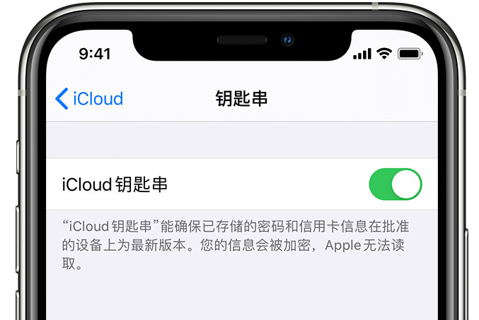 桐城苹果手机维修分享在 iPhone 上开启 iCloud 钥匙串之后会储存哪些信息 