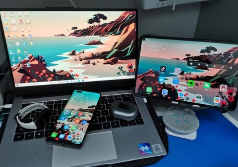 桐城苹果手机维修分享为什么iPad屏幕更大价格却比iPhone低 