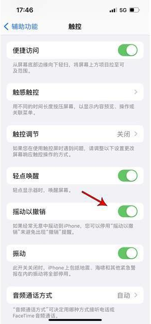 桐城苹果手机维修分享iPhone手机如何设置摇一摇删除文字 
