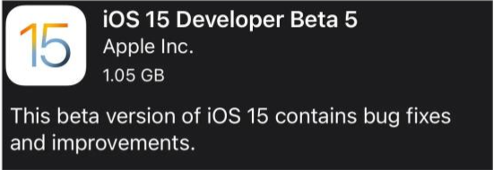 桐城苹果手机维修分享如何升级到iOS15.0 beta5 