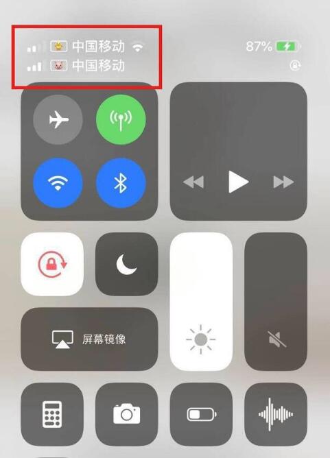 桐城苹果手机维修分享为 iPhone 12 双卡设置标签 