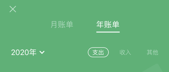 桐城苹果手机维修分享如何在 iPhone 上查看支付宝和微信年支出账单 
