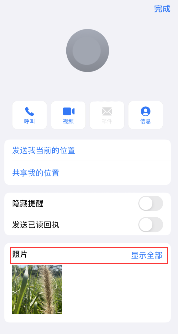 桐城苹果手机维修分享如何快速查找 iMessage 信息中的图片等附件 