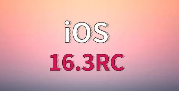 桐城苹果手机维修分享iOS 16.3 RC版升级_iOS 16.3 RC版一键刷机教程 
